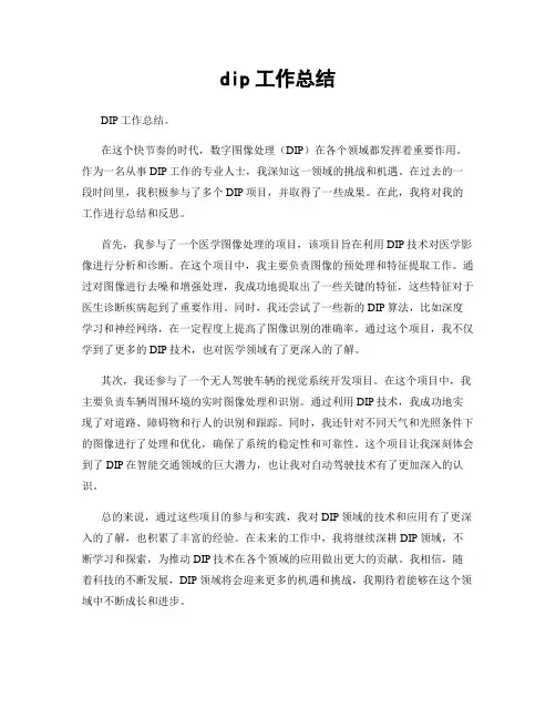dip工作总结