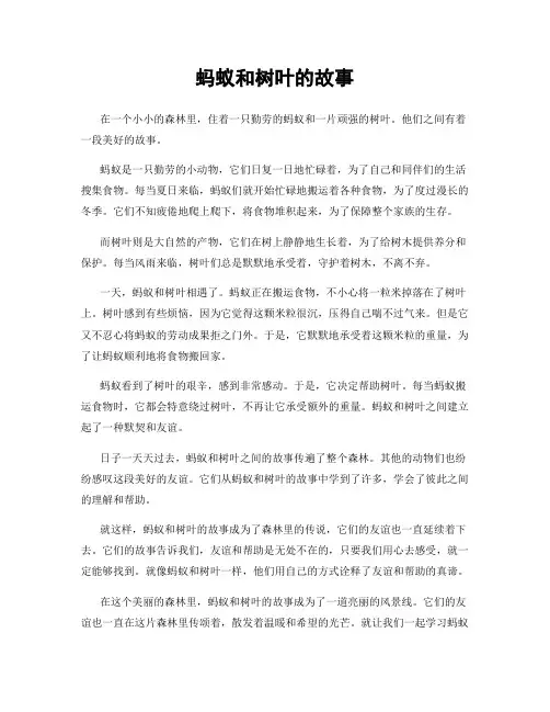 蚂蚁和树叶的故事