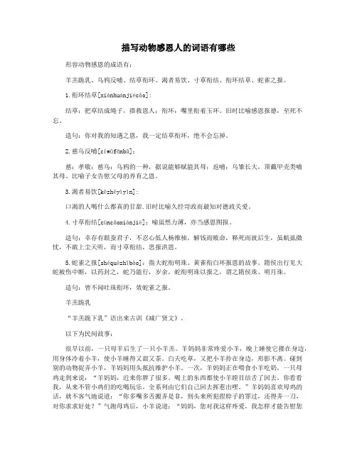 描写动物感恩人的词语有哪些