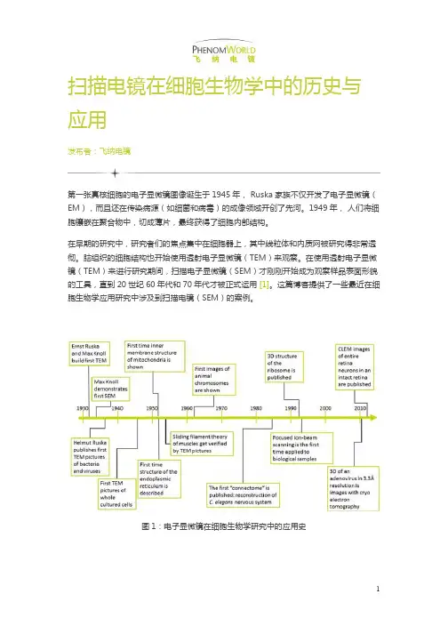扫描电镜在细胞生物学中的历史与应用