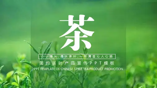 绿色简约茶叶产品宣传PPT模板