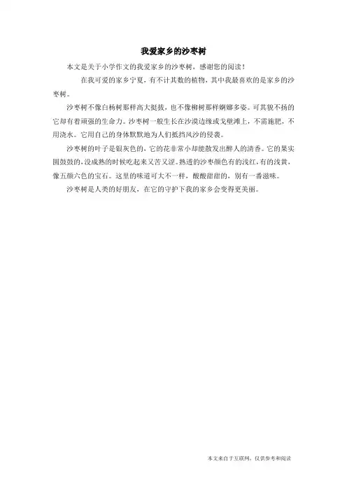 我爱家乡的沙枣树_小学作文
