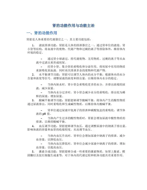 肾的功能作用与功能主治