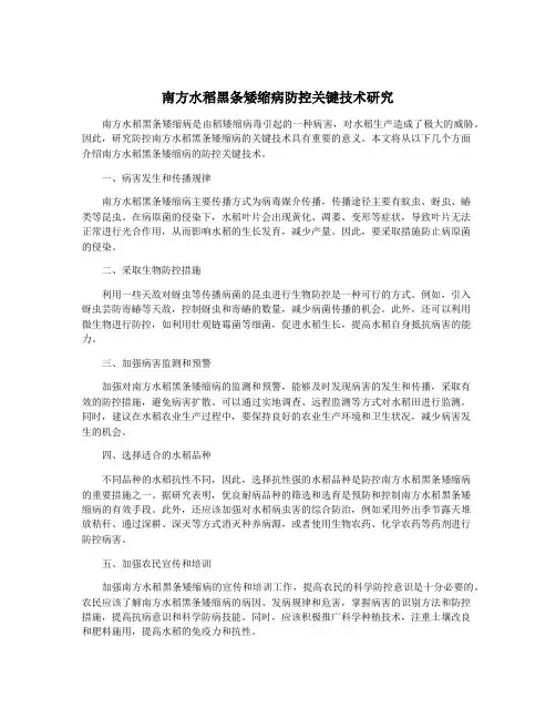 南方水稻黑条矮缩病防控关键技术研究