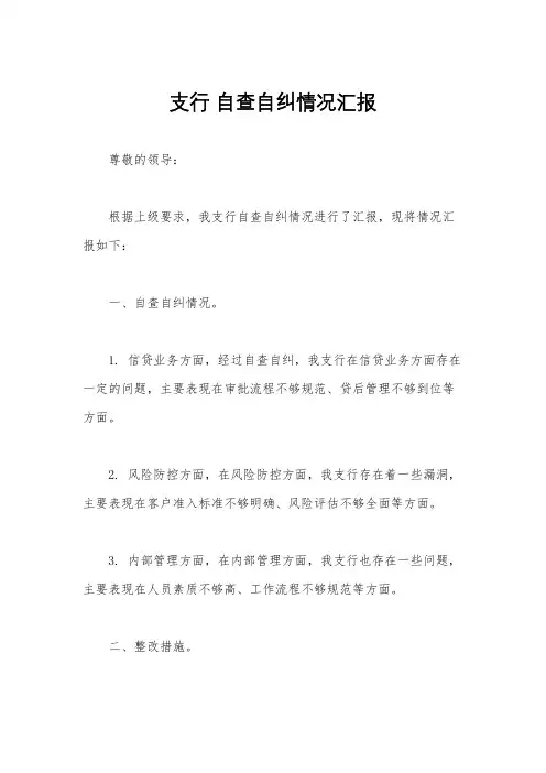 支行 自查自纠情况汇报