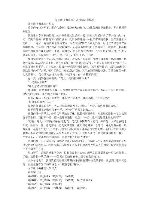 五年级《梅花魂》常用知识点梳理