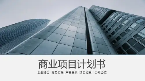 商业项目计划书模板ppt
