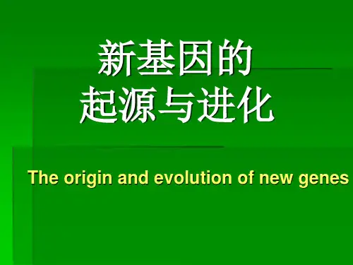 新基因起源与进化