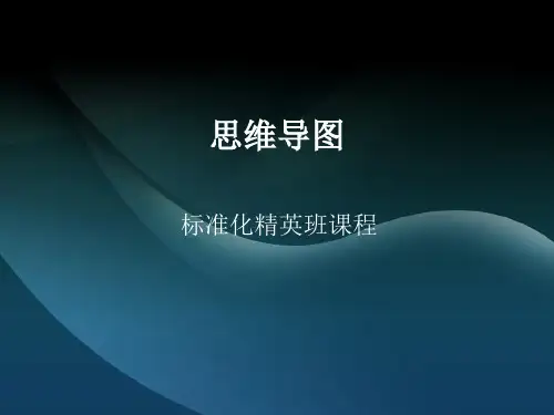 思维导图标准化(ppt文档)