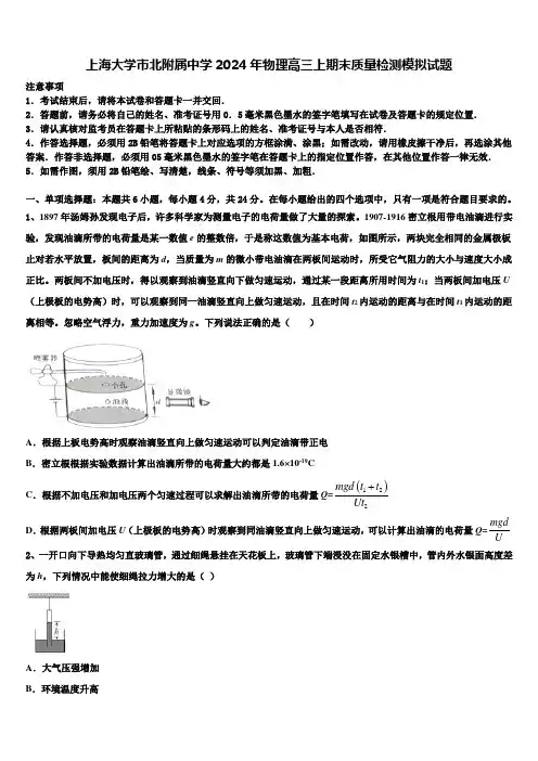 上海大学市北附属中学2024年物理高三上期末质量检测模拟试题含解析