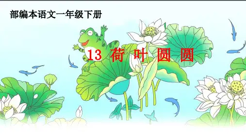 最新统编版《荷叶圆圆》课件ppt