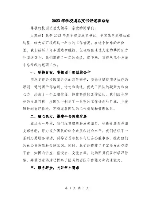 2023年学校团总支书记述职总结