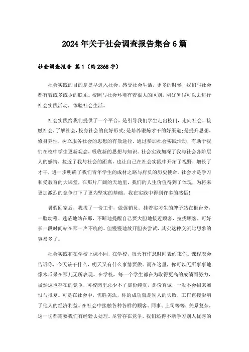 2024年关于社会调查报告集合6篇