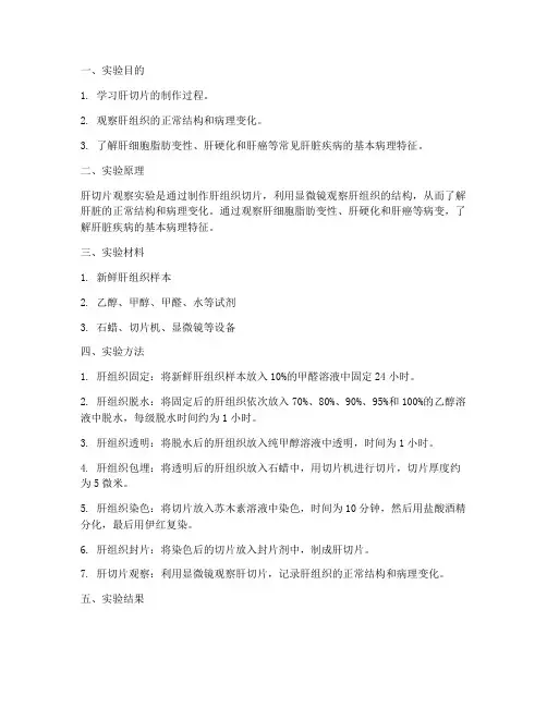 肝切片观察实验报告