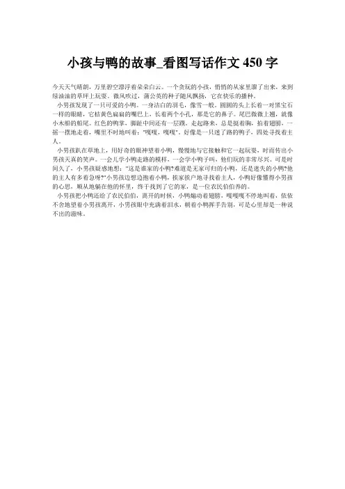 小孩与鸭的故事_看图写话作文450字