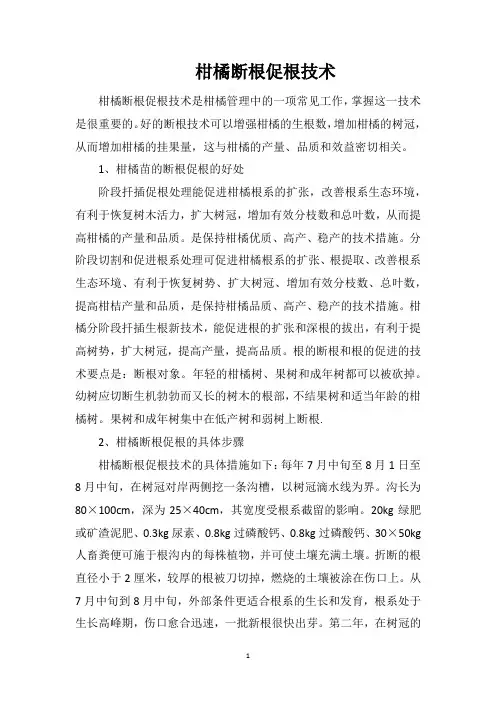 柑橘断根促根技术