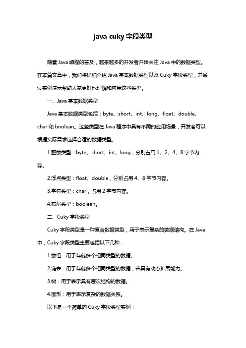 java cuky字段类型