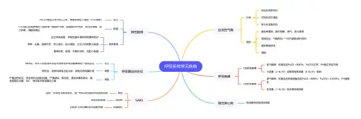呼吸系统常见疾病 思维导图