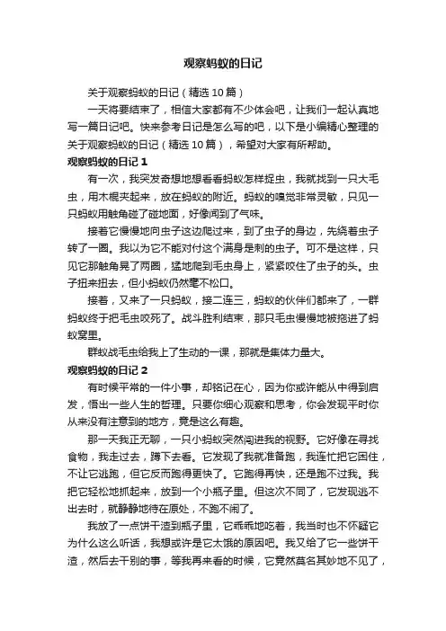 关于观察蚂蚁的日记（精选10篇）