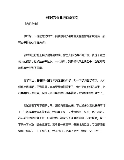 根据农忙时节写作文