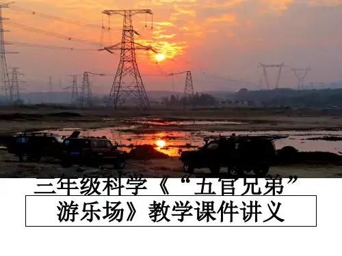 最新三年级科学《“五官兄弟”游乐场》教学课件讲义教学讲义ppt