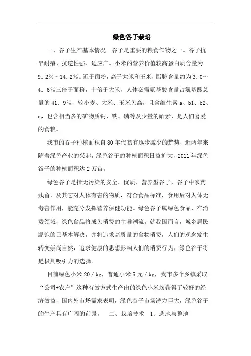 绿色谷子栽培