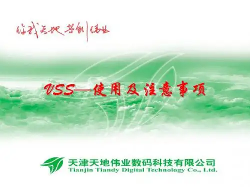 VSS使用及注意事项PPT