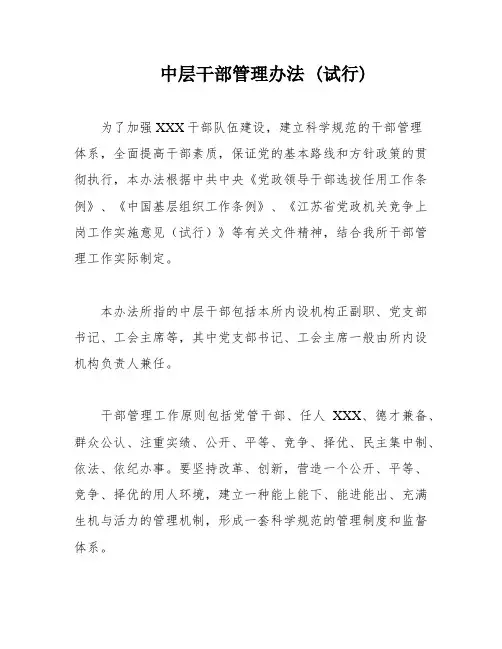 中层干部管理办法 (试行)