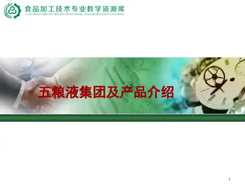 五粮液集团及产品介绍.