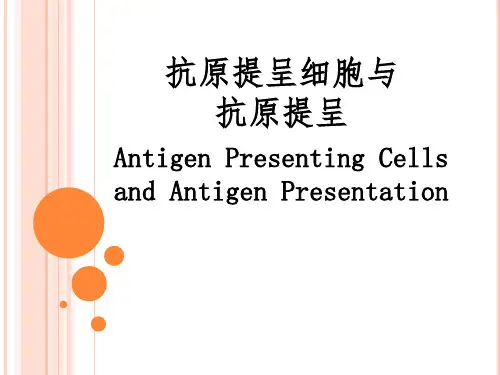 抗原递呈细胞与抗原递呈