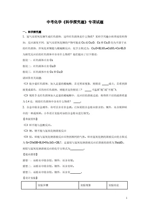 中考化学《科学探究题》专项试题含答案
