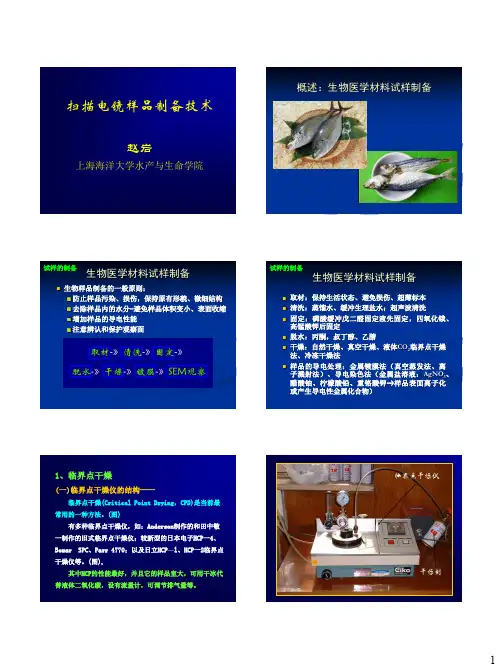 扫描电镜样品制备