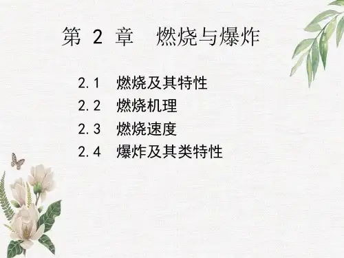 燃烧和爆炸特性、机理和速度