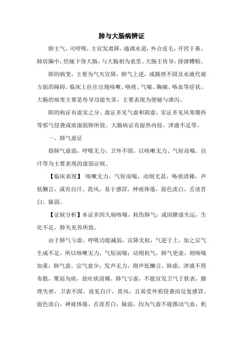 肺与大肠病辨证