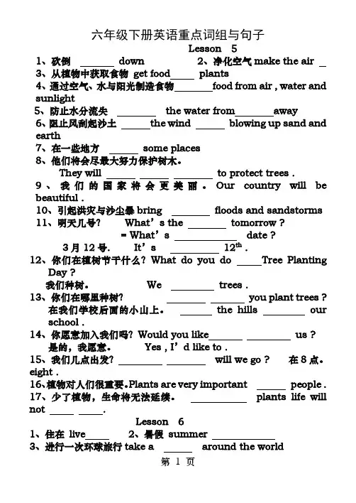 六年级英语下册重点词组句子一