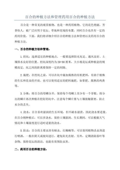百合的种植方法和管理药用百合的种植方法