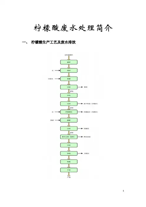 柠檬酸废水处理简介