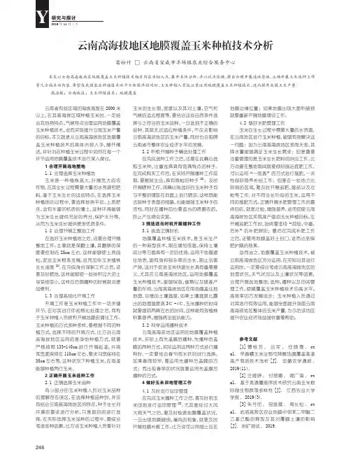 云南高海拔地区地膜覆盖玉米种植技术分析