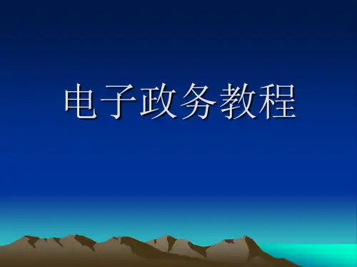 电子政务教程