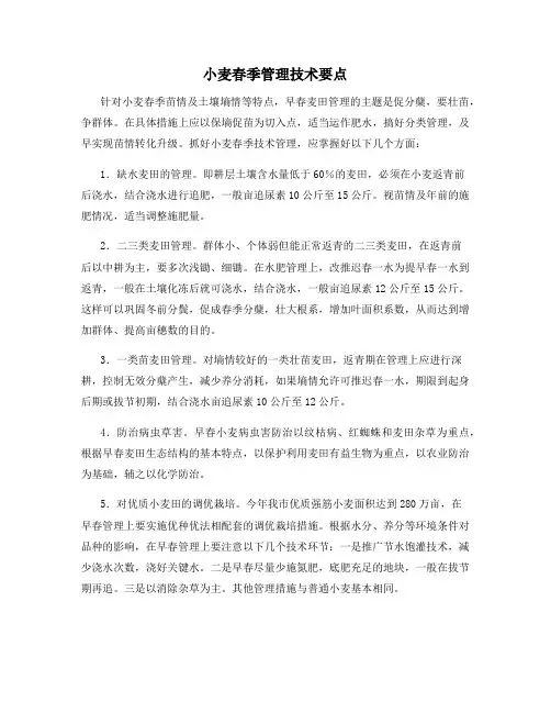 小麦春季管理技术要点