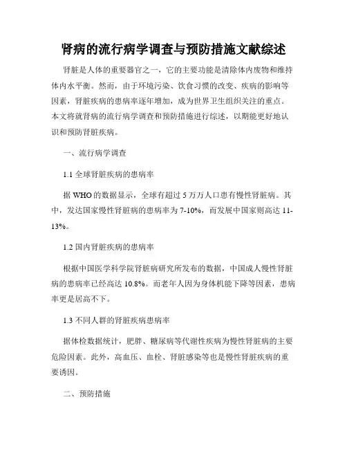 肾病的流行病学调查与预防措施文献综述