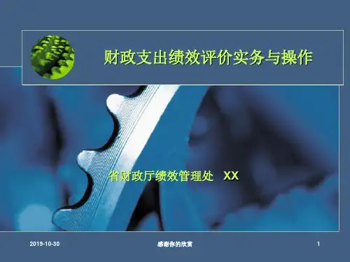 财政支出绩效评价实务与操作.ppt