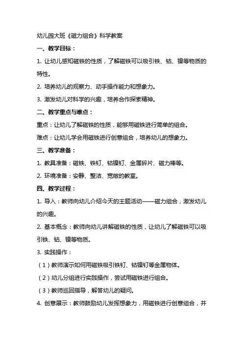 幼儿园大班《磁力组合》科学教案