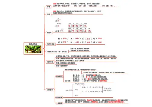 部编人教版小学语文五年级上册知识点23 鸟的天堂