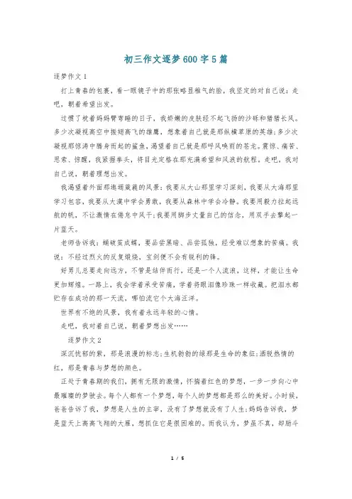 初三作文逐梦600字5篇