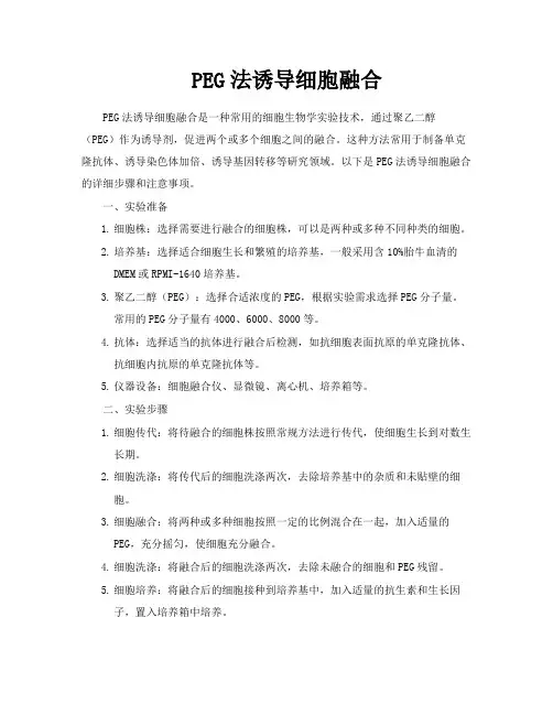PEG法诱导细胞融合