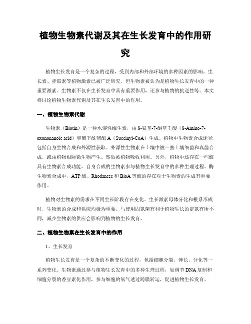 植物生物素代谢及其在生长发育中的作用研究