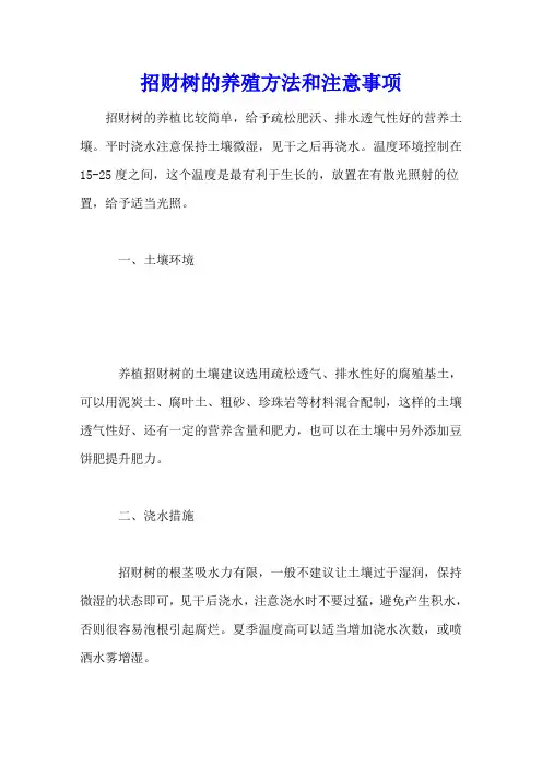招财树的养殖方法和注意事项
