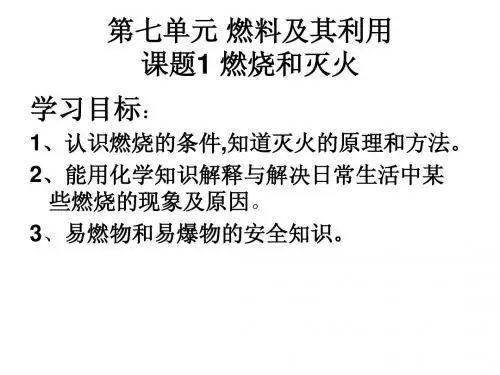 第七单元 燃料及其利用