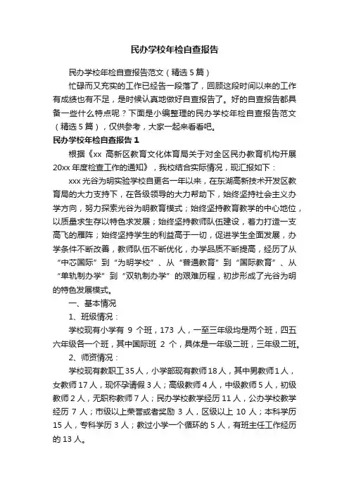 民办学校年检自查报告范文（精选5篇）